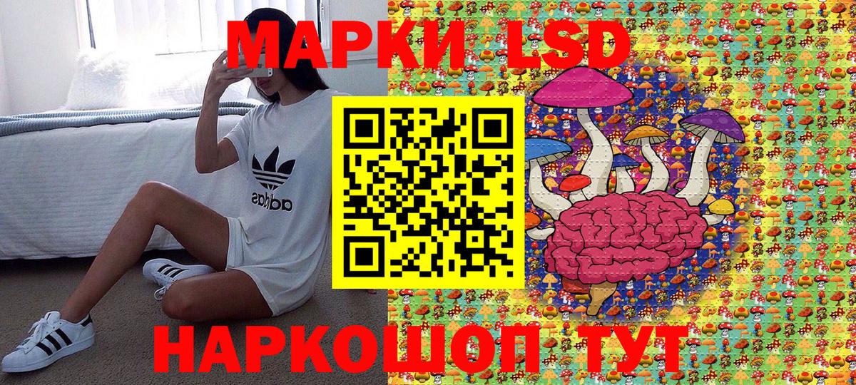 Донской  Наркотические марки 1,5мг  Вход с VPN 