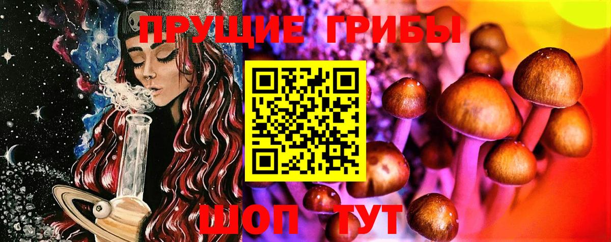 Донской  Псилоцибиновые грибы Magic Shrooms  Вход с VPN 
