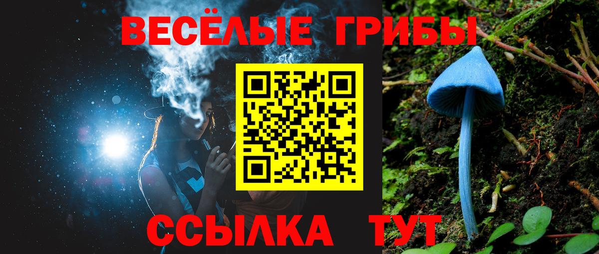 Псилоцибиновые грибы Magic Shrooms Донской